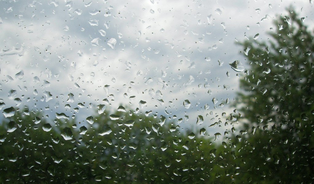 стекло, капли, лето, дождь