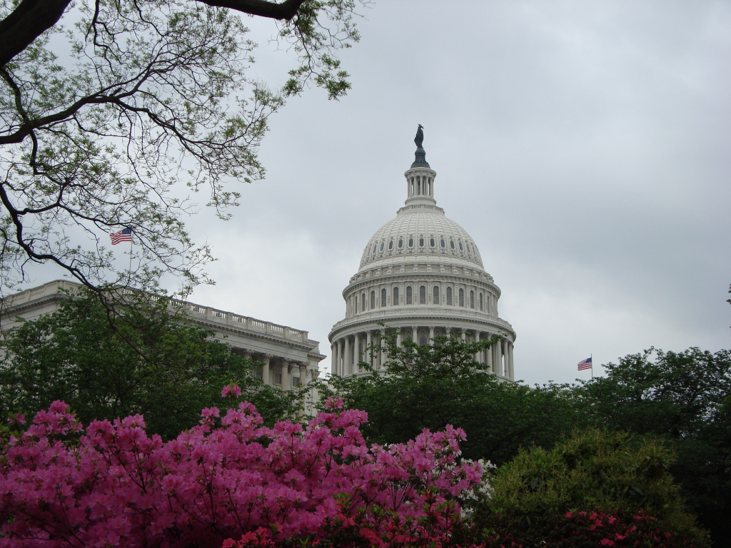 Цветы, США, Капитолий, Вашингтон