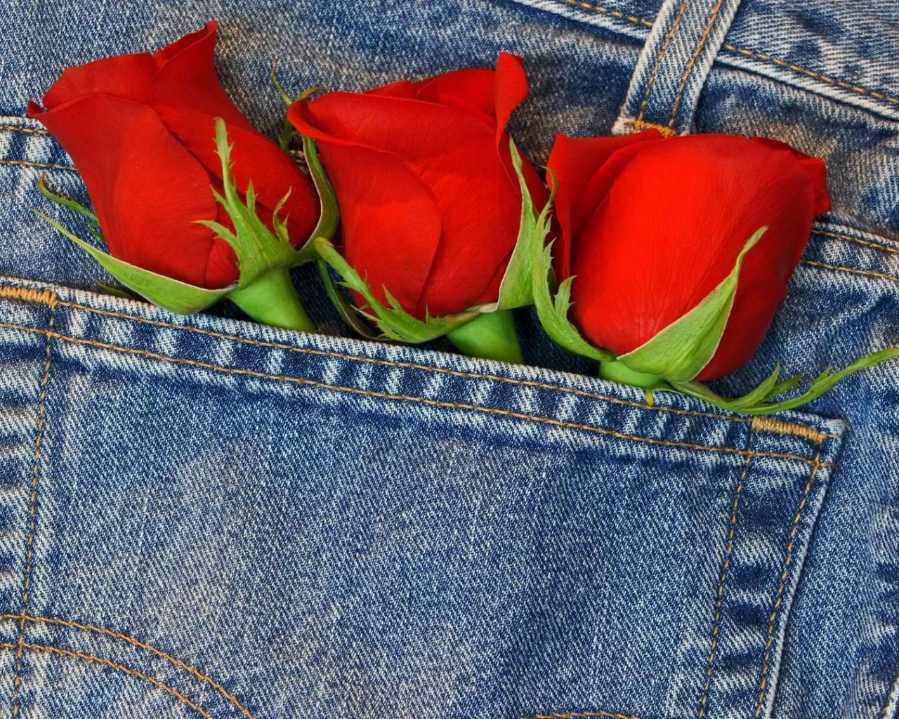 в кармане, Три, розы