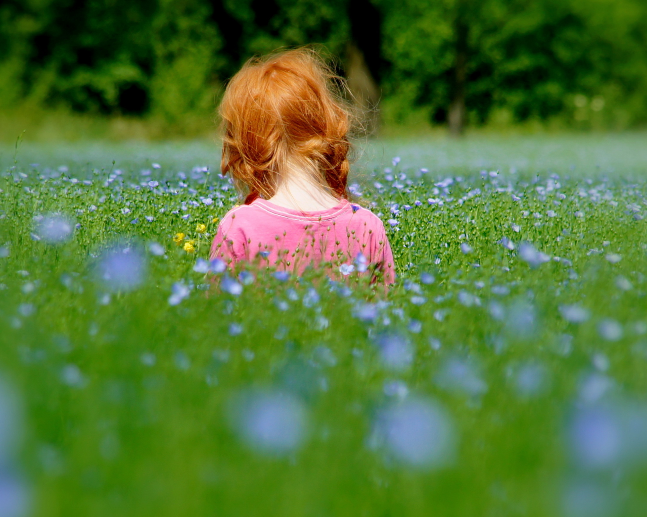 девочка, поле, цветы