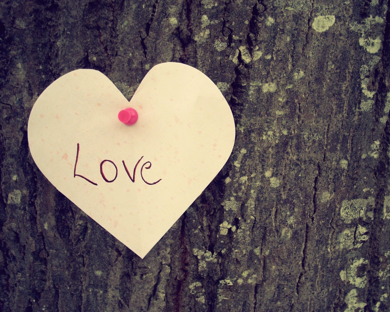 любовь, сердце, надпись, дерево, настроение