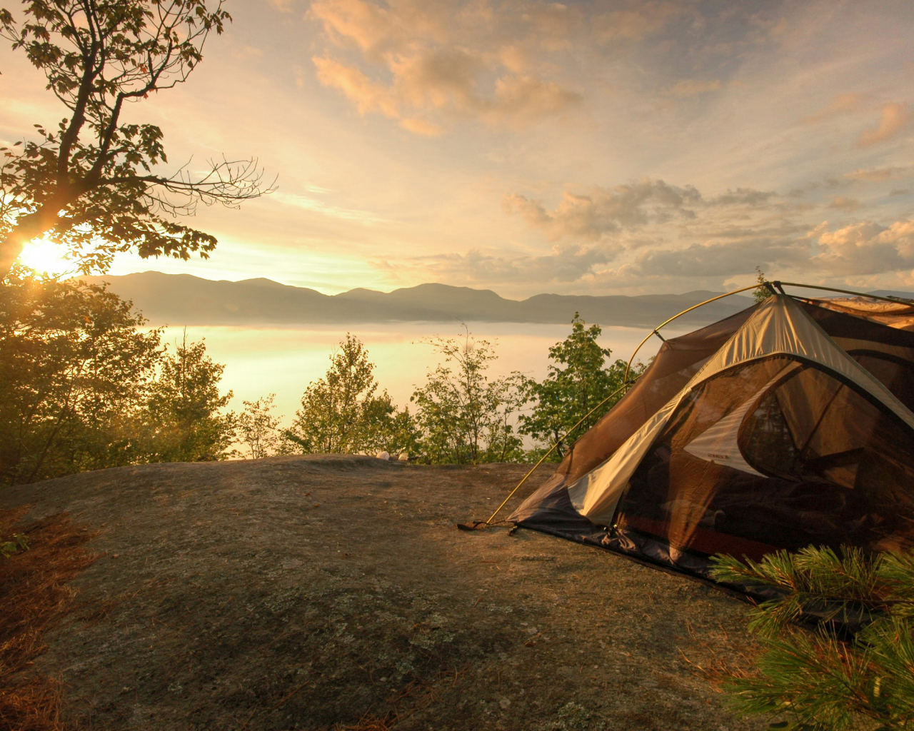 палатка, утро, природа