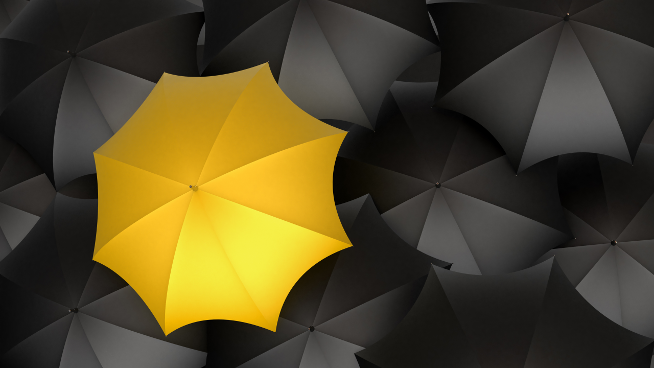 черный цвет, желтый, зонты