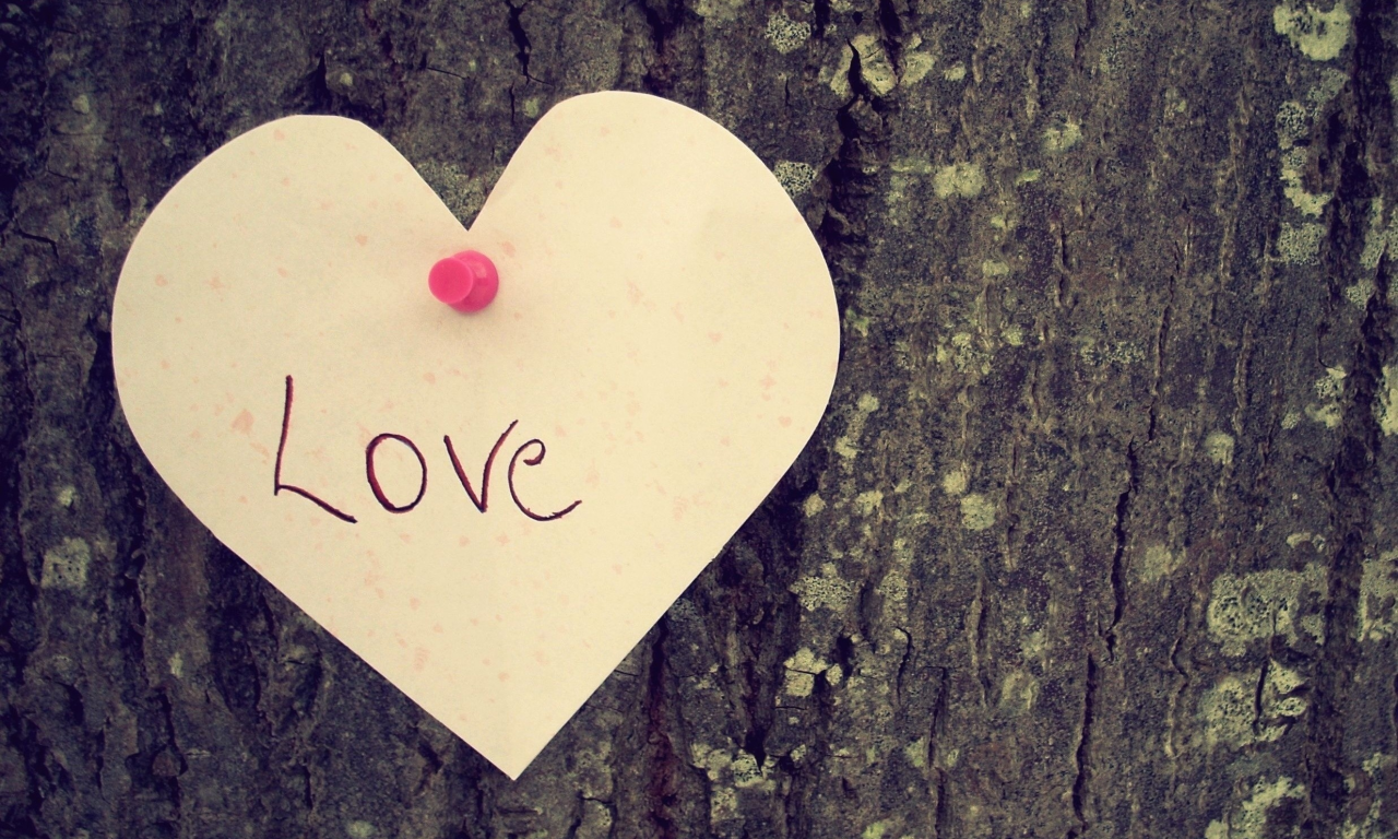 любовь, сердце, надпись, дерево, настроение