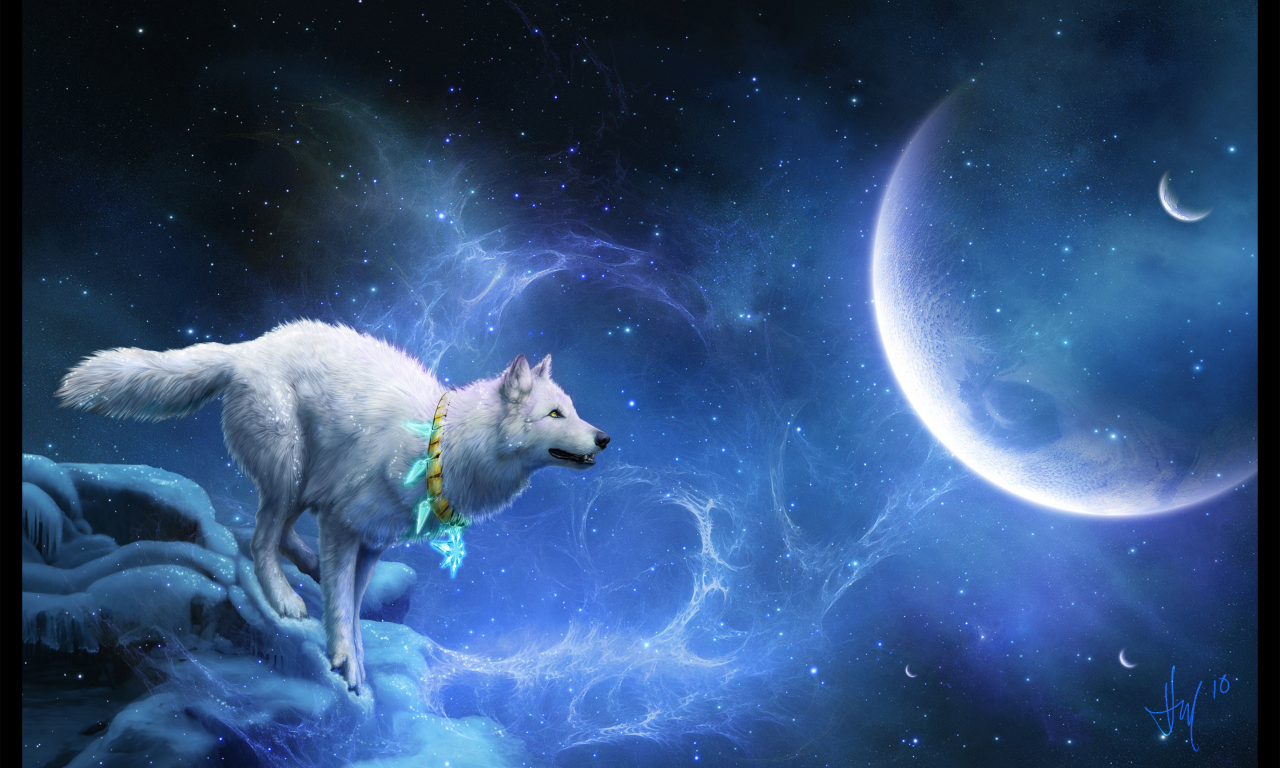 звёзды, планеты, мистика, волк, белый