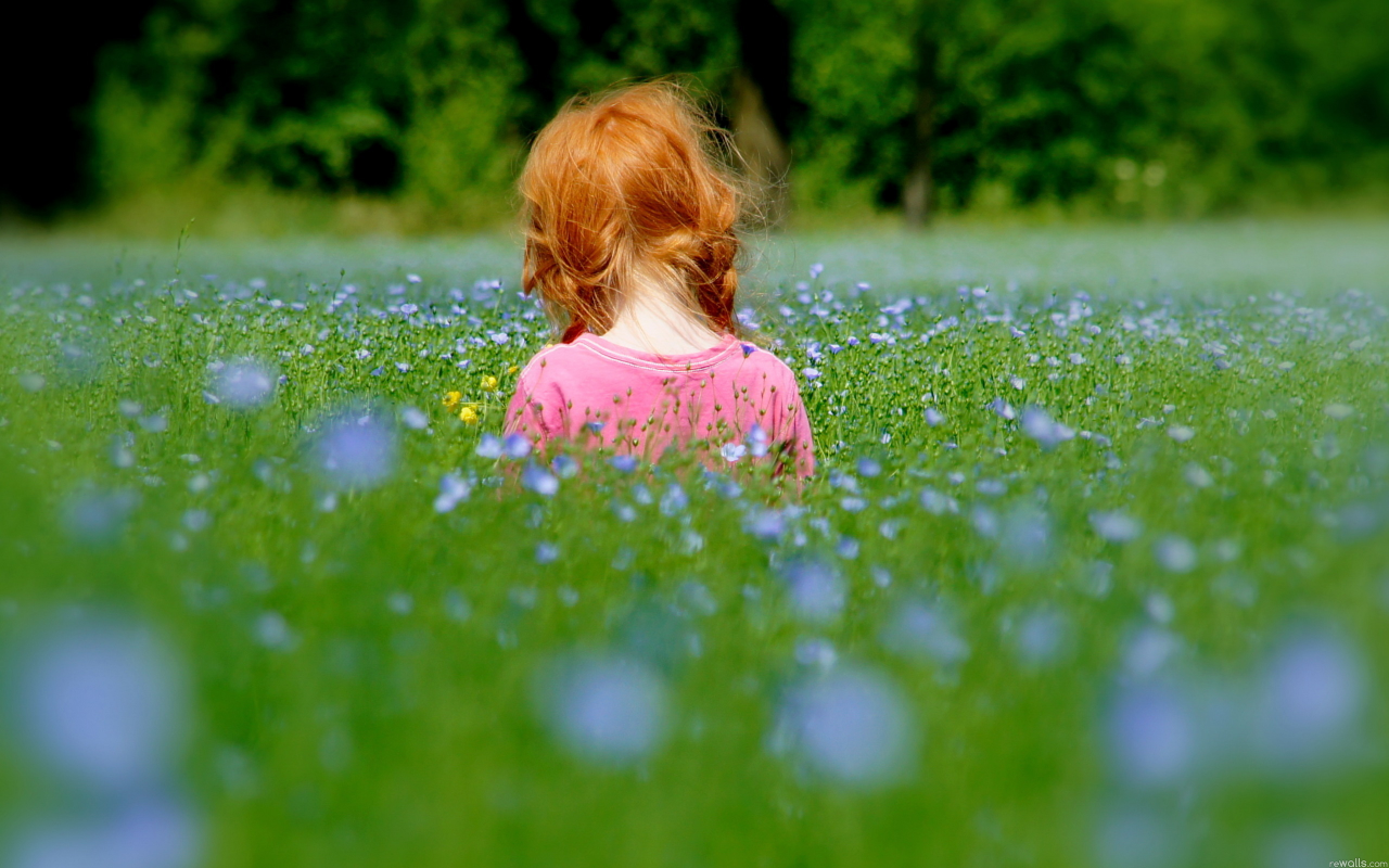 девочка, поле, цветы