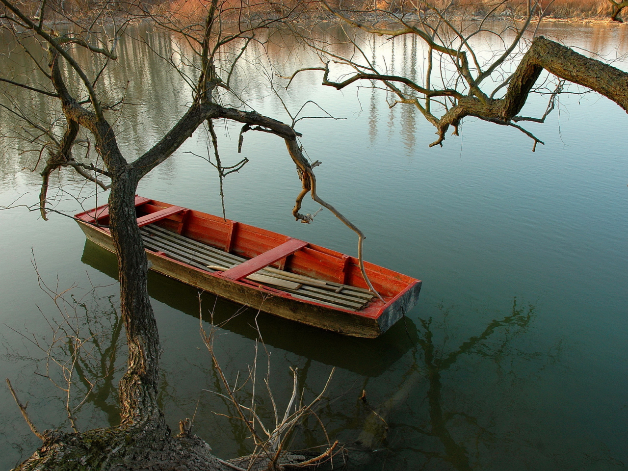 озеро, природа, лодка