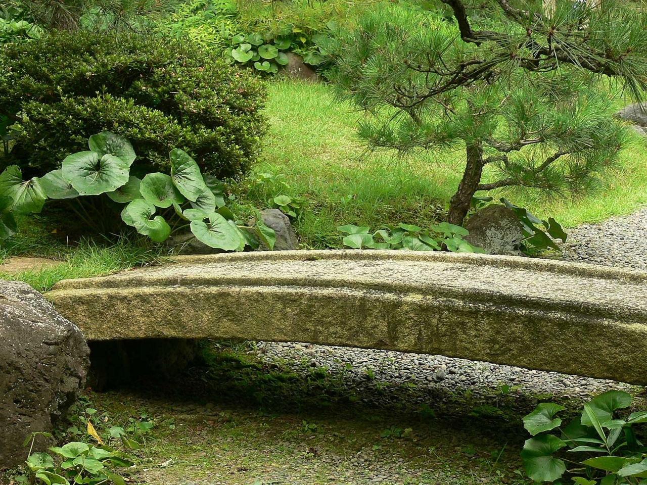 мост, японский сад, япония, камень, сосна