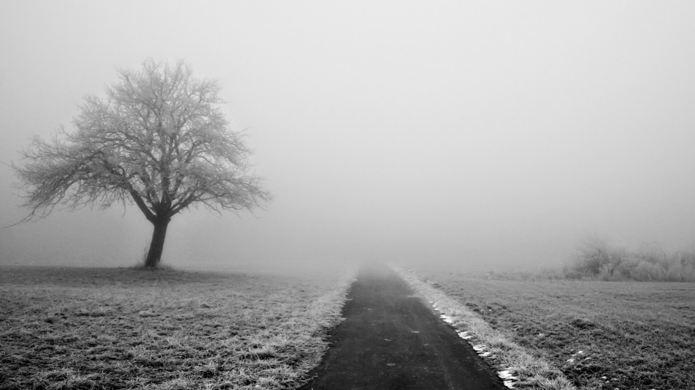 дорога, снег, деревья, зимние обои, природа, обои, туман, зима