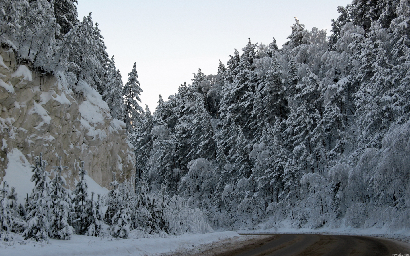 дорога, зима, деревья