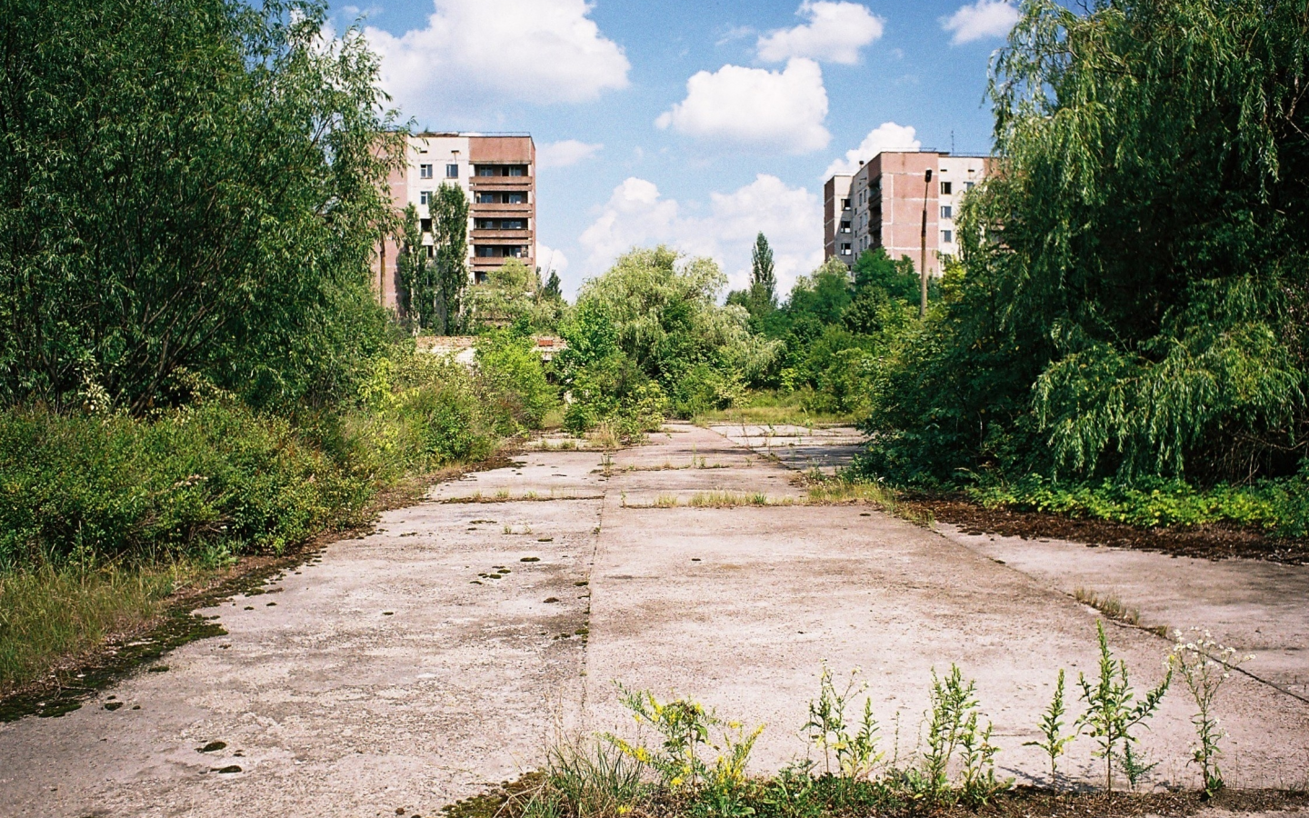 припять, дома, зелень, улица