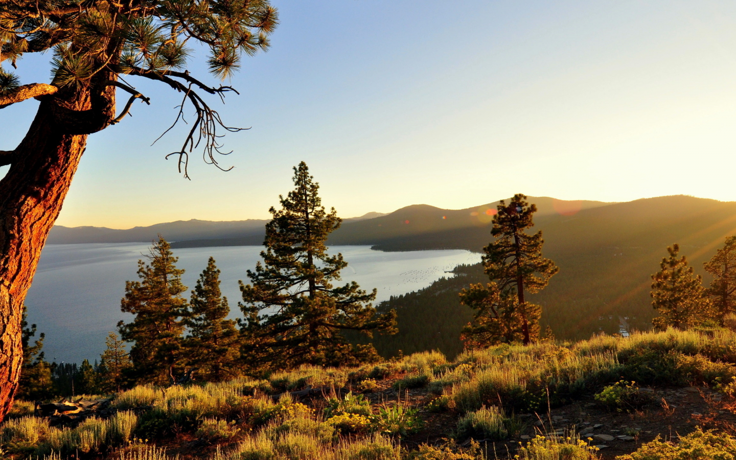 озеро тахо, природа, калифорния, high sierra