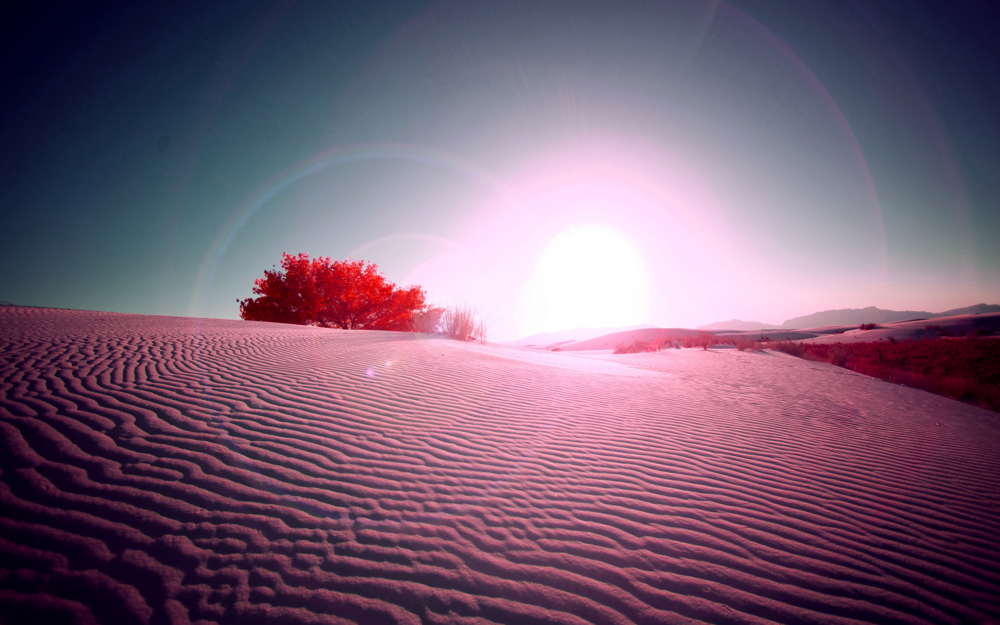 Солнце, Песок, Красная, Красивая, Пустыня