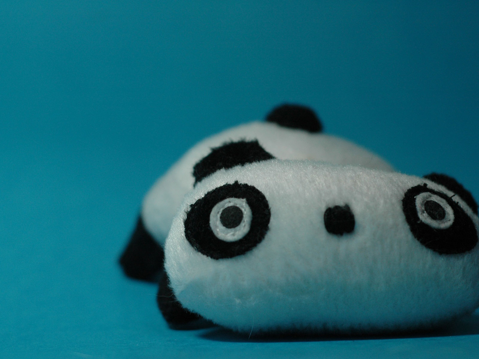 панда, игрушка, лежит