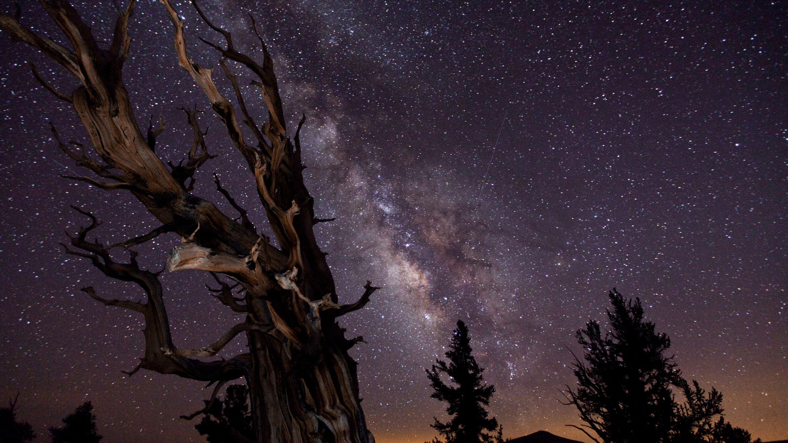 деревья, выдержка, млечный путь, небо, ночь, победитель конкурса астрономической фотографии :-)