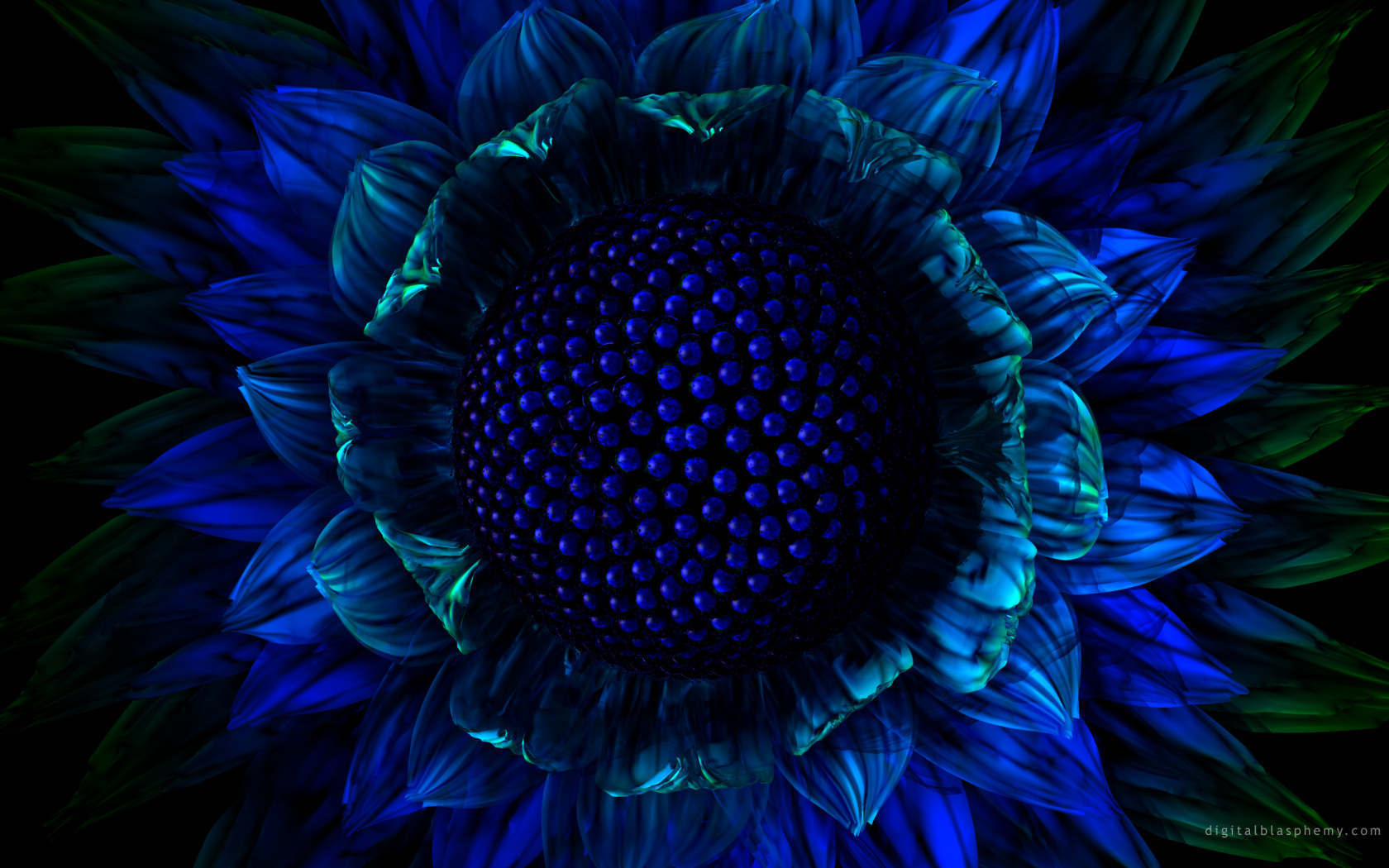 цветок, графика, синий
