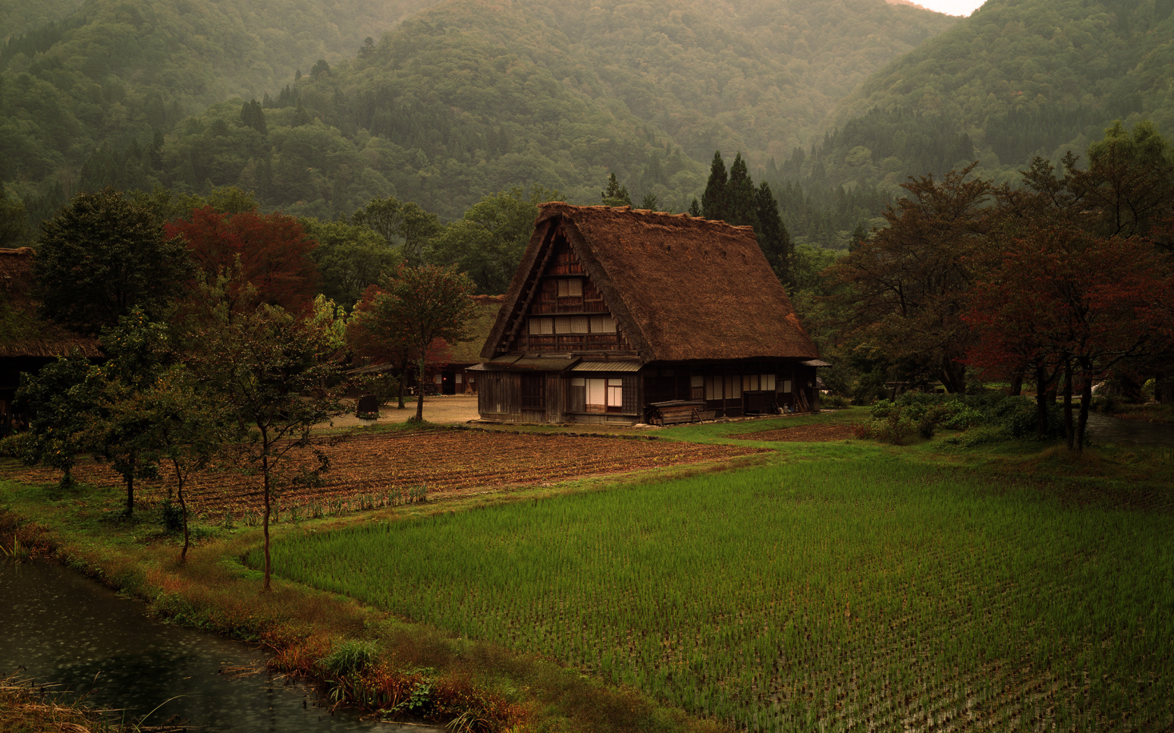 дом, Япония, поле