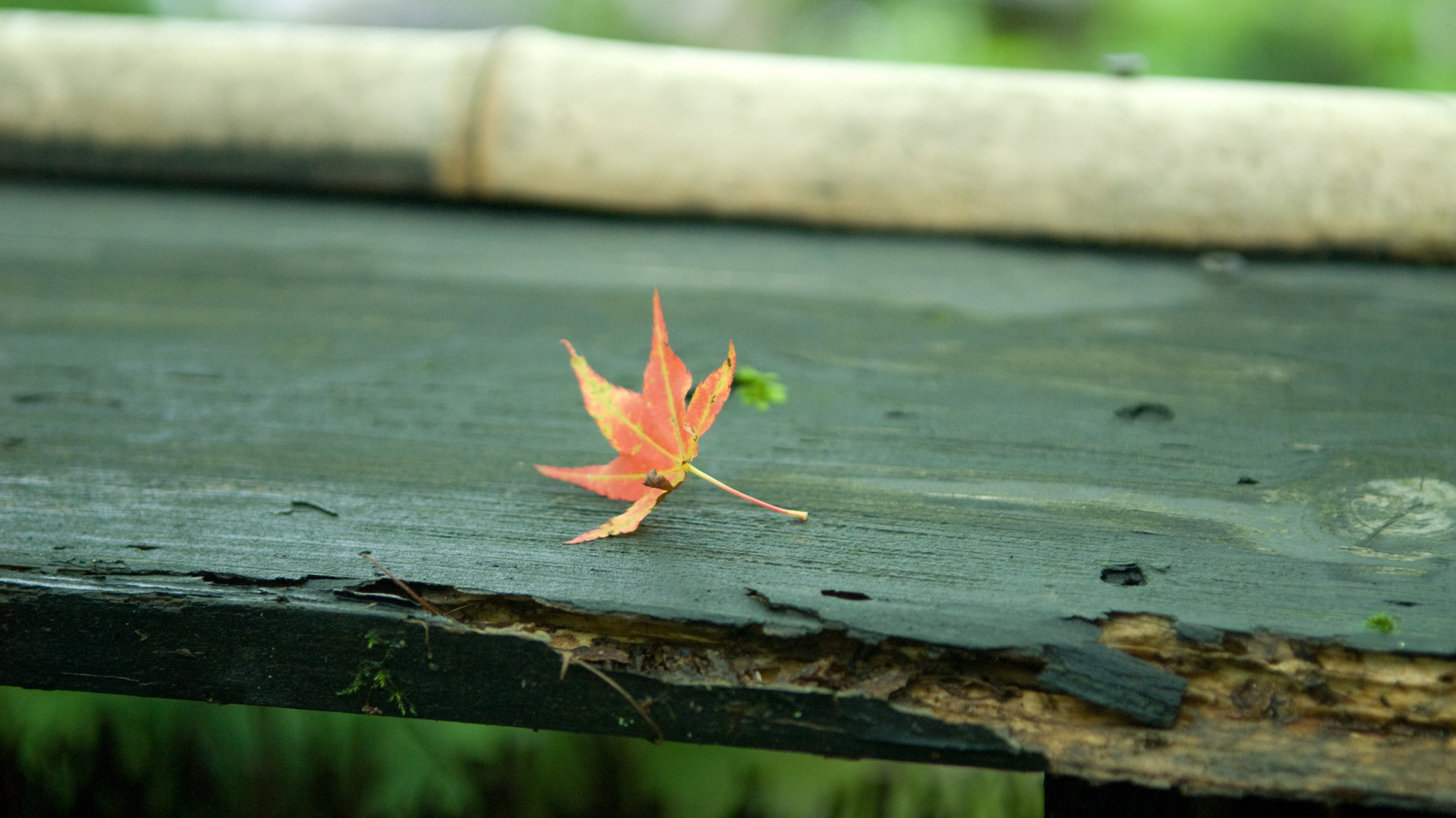 скамейка, лист, осень