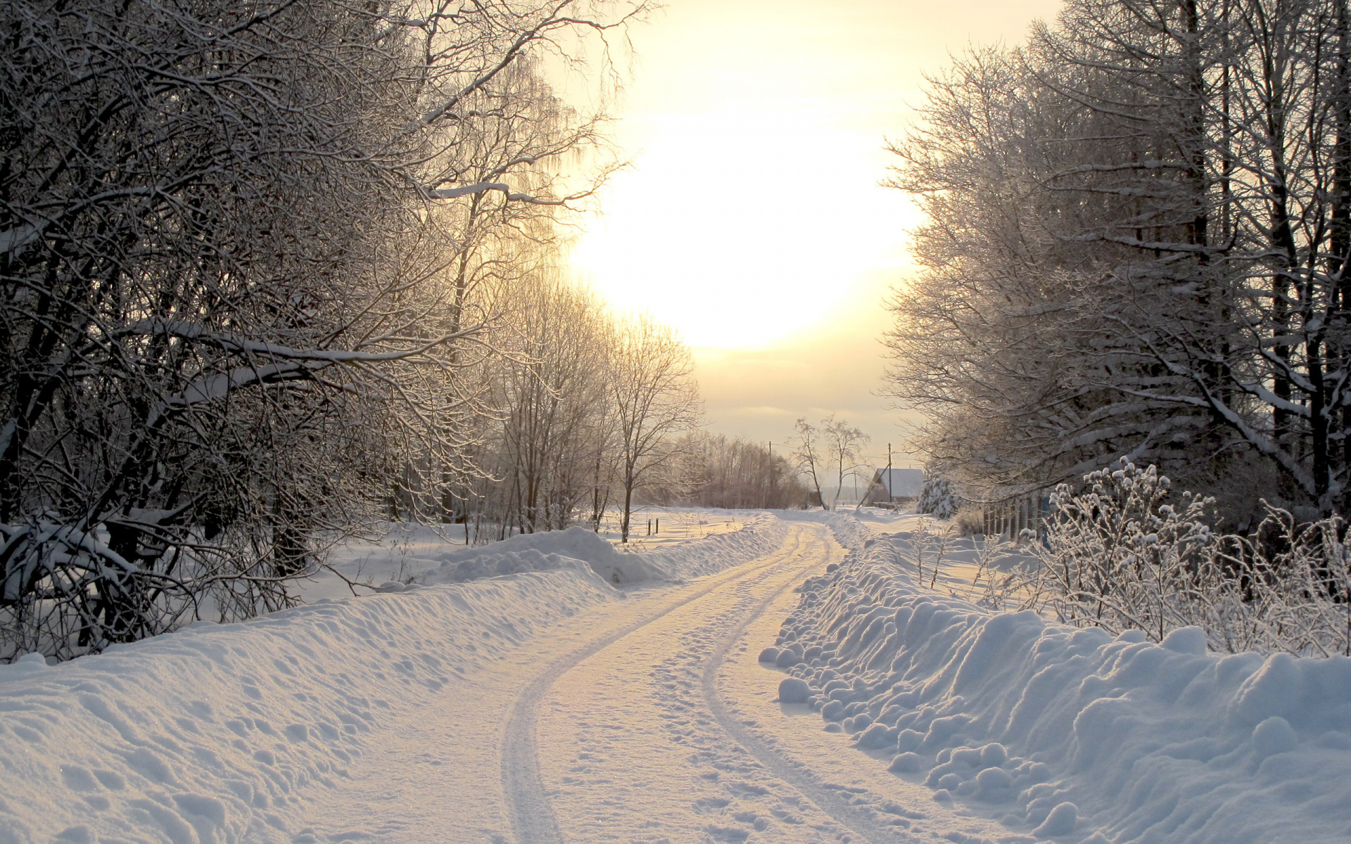 зима, фото, зимние обои, дома, дорога, домики, дерево, снег, пейзажи, природа, деревья, дороги, леса
