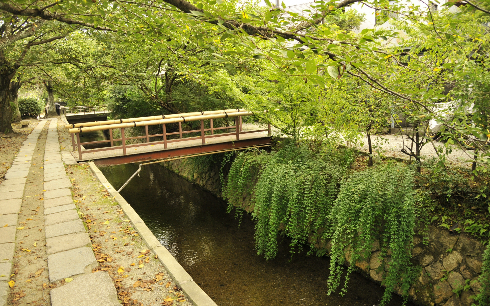 деревья, киото, восток, мост, япония