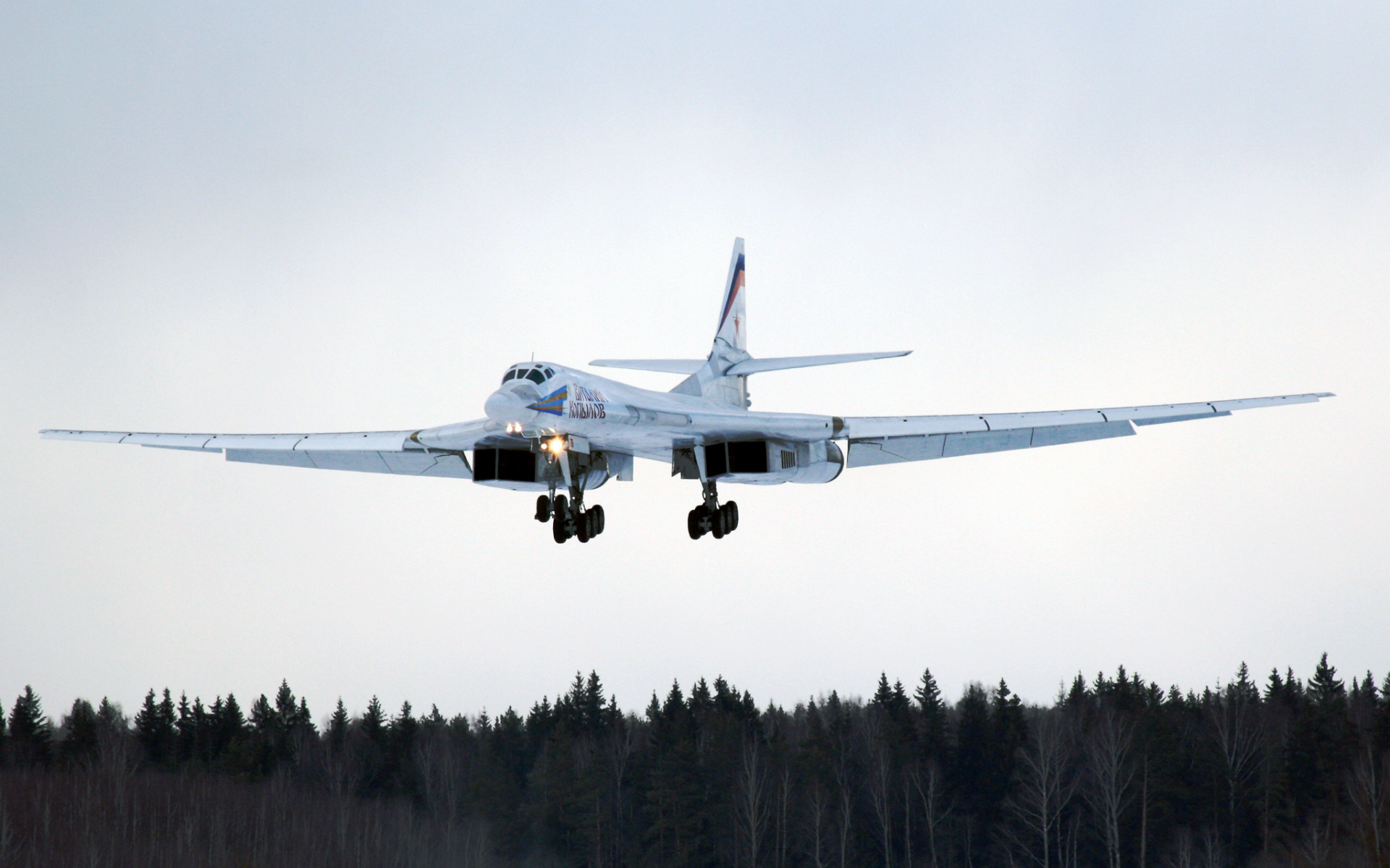 Ту-160, Туполев, ракетоносец, белый лебедь