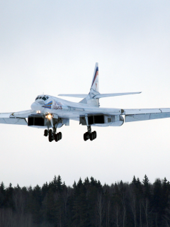 Ту-160, Туполев, ракетоносец, белый лебедь