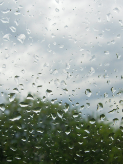 стекло, капли, лето, дождь