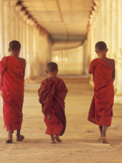 дети, буддизм, мальчики, монахи