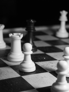 белое, черное, шахматы