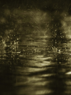 дождь, капли, брызги, поверхность