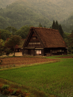 дом, Япония, поле