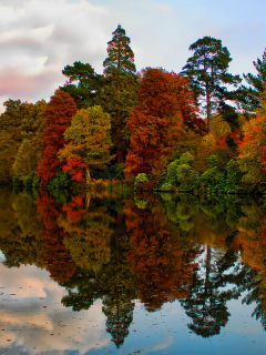 осень, река, деревья