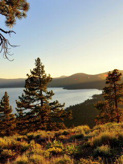 озеро тахо, природа, калифорния, high sierra
