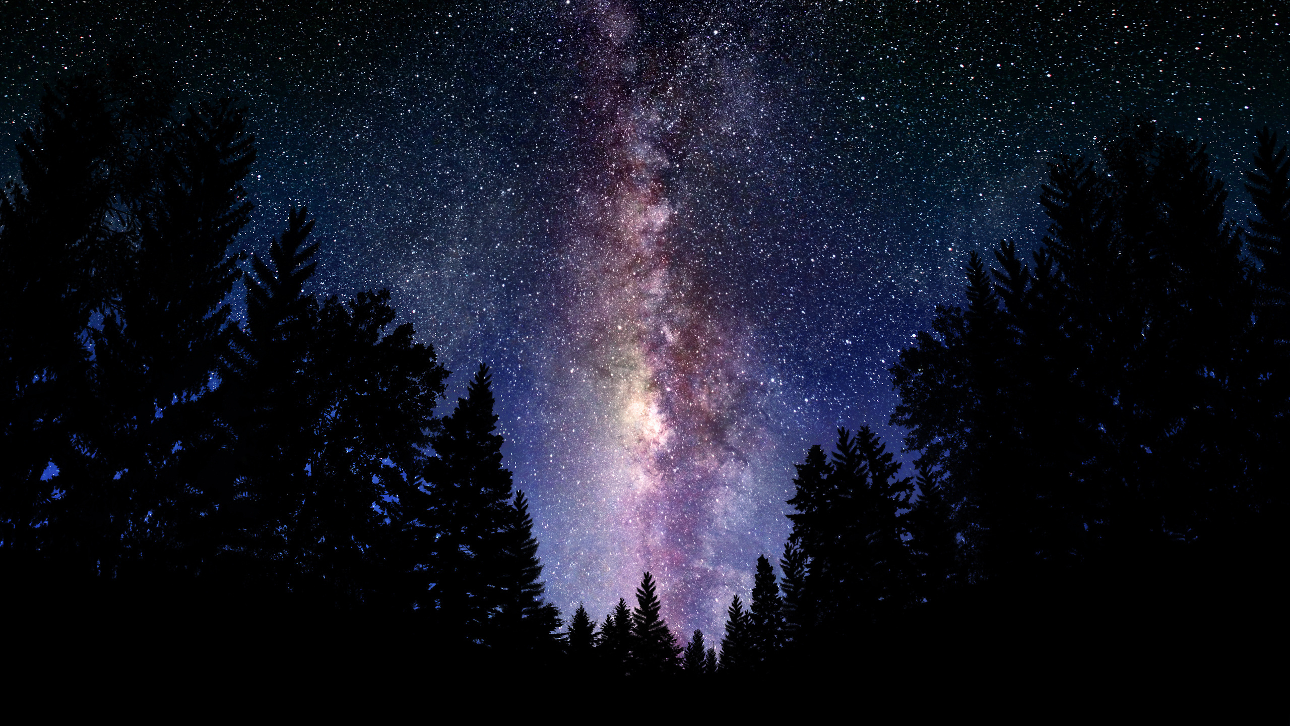 лес, ночь, небо, пейзажи, фото, космос, обои, звёзды, млечный путь