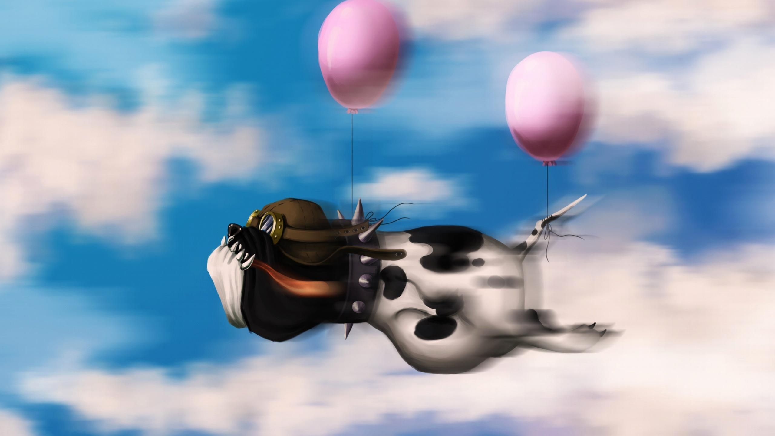 небо, облака, полёт, собака, воздушные шары, пилот