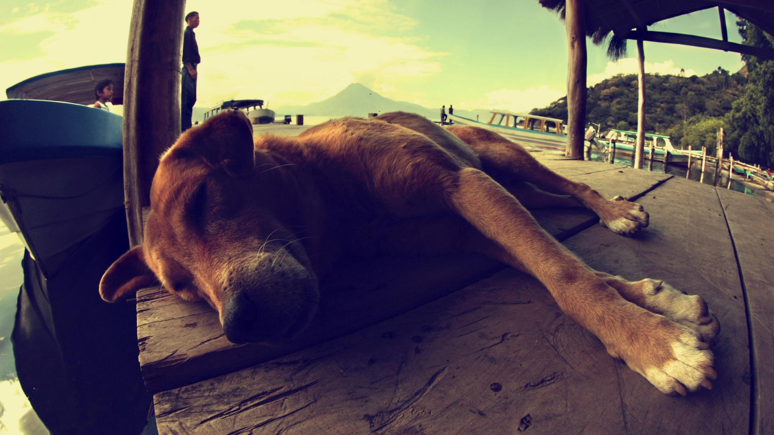 люди, пейзаж, пес, лежит, лодка, гуатемала, спит, собака