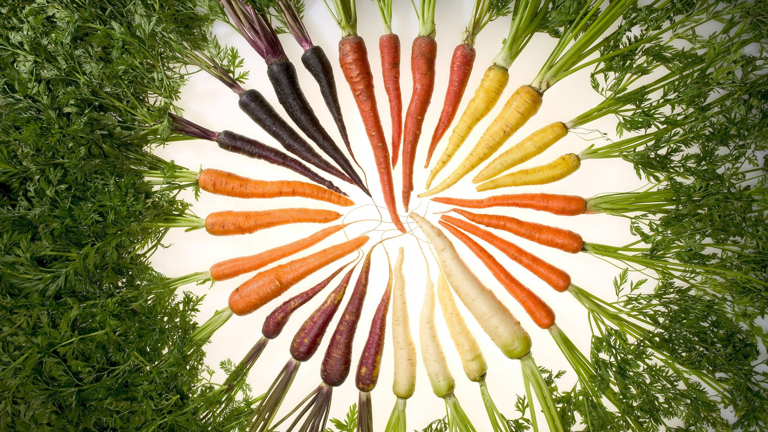 изобилие цвета, морковь, еда