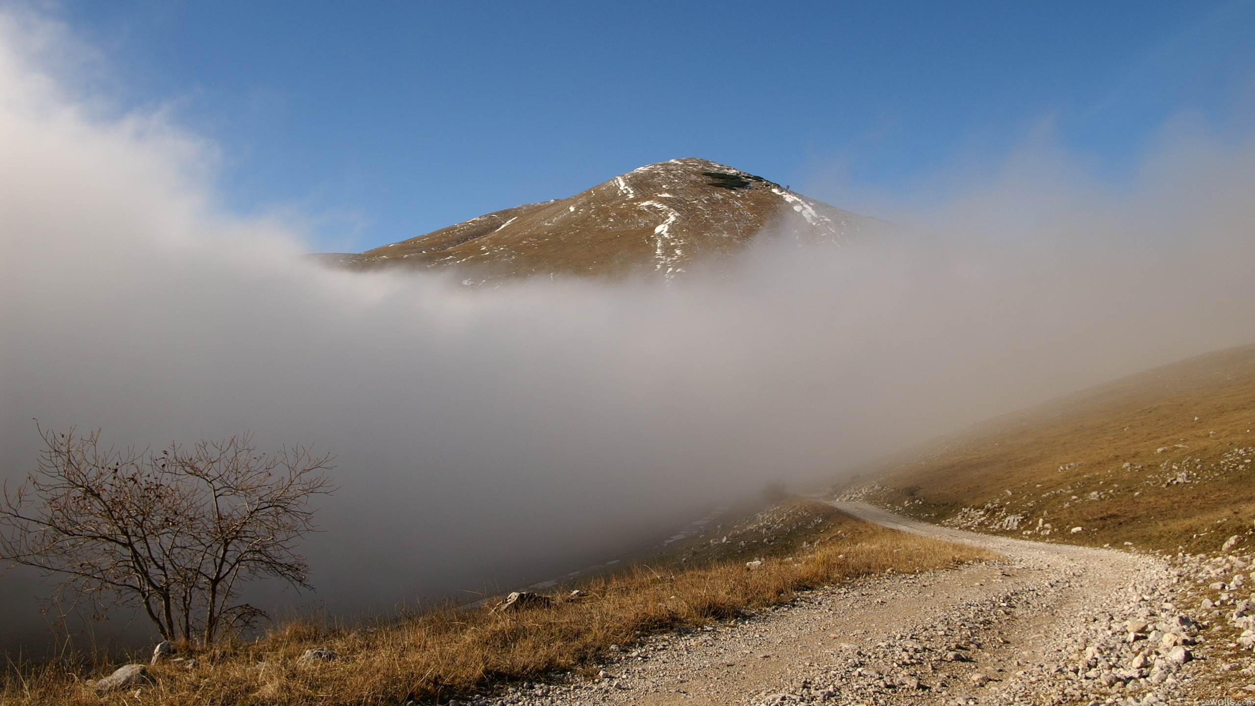 дорога, горы, туман