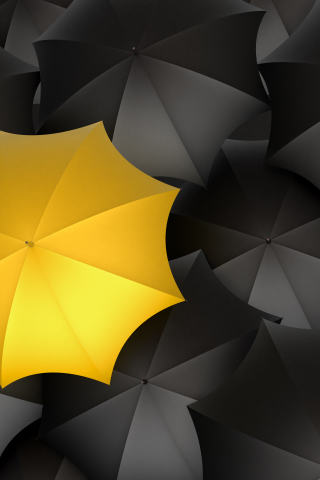 черный цвет, желтый, зонты