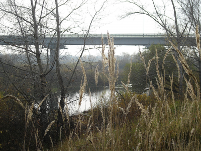 мост, река, осень, увядание
