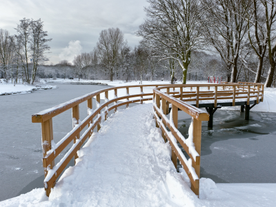 мост, парк, зима