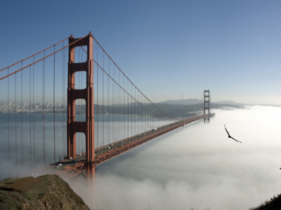 fog, sky, bridge
