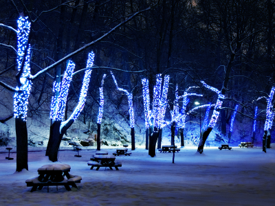 иллюминация, деревья, снег