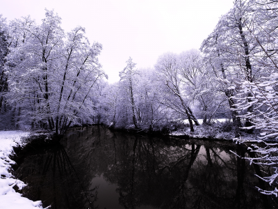 лес, природа, вода, снег, фото, зима, деревья, река