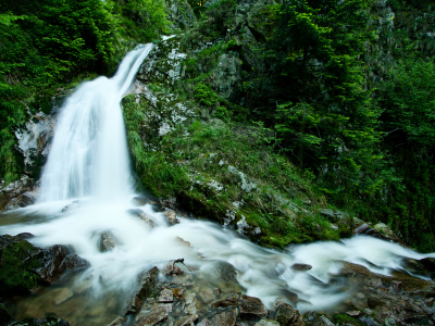 фото, природа, вода, зелень, камни, лес, ручей, деревья, растения, поток, обои, водопад