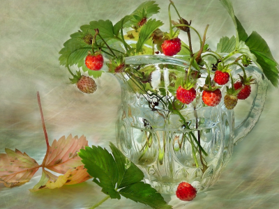 натюрморт, листья, ягоды, красота, бокал