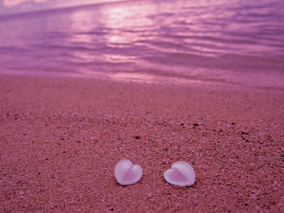 сердце, песок, розовый, любовь, пляж, берег, ракушки