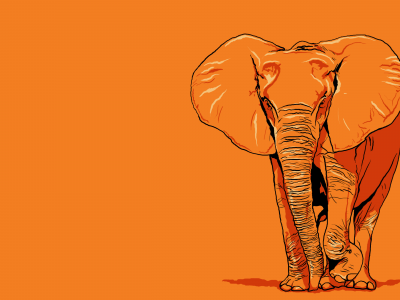гигант, слон, оранжевое
