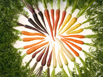 изобилие цвета, морковь, еда