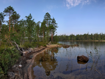 лес, красота, озеро, деревья, природа